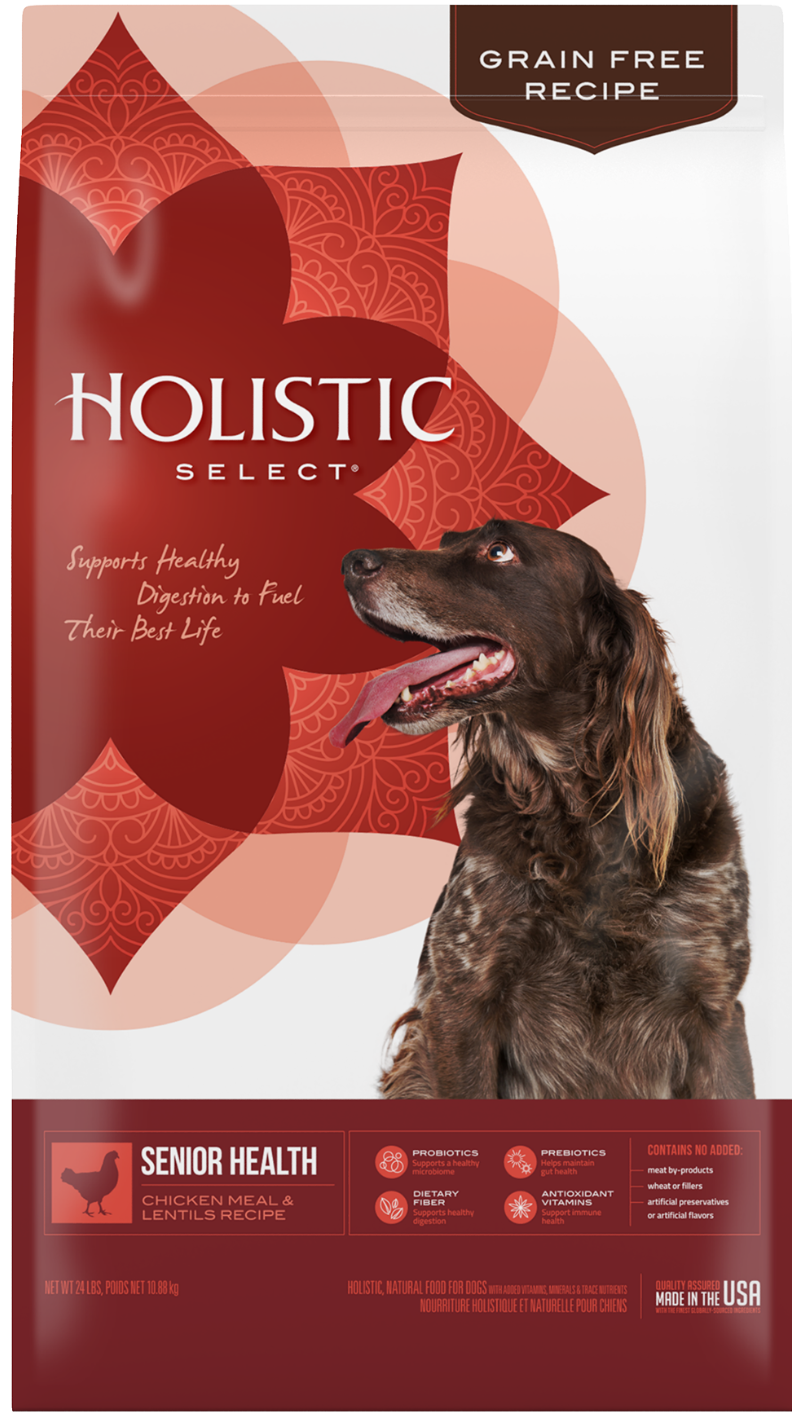 Holistic select natural grain free dry hot sale dog food